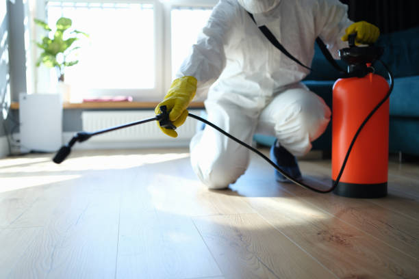 Reliable Infectious Disease Decontamination contractor in Temecula, CA by Crime Scene Cleaner Online